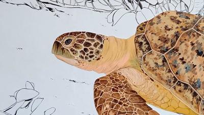 Journées des tortues marines à Kélonia / Saint-Leu / La Réunion