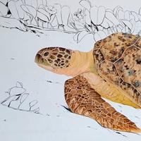 Journées des tortues Marines à Kélonia