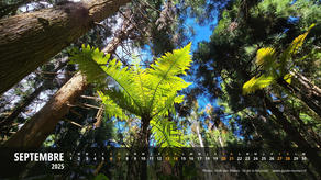 Calendrier Septembre 2025 - Île de la Réunion