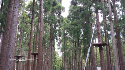 Nouveau parc accrobranche à Cilaos