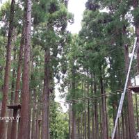 Nouveau parc accrobranche à Cilaos