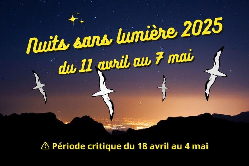 Nuits sans Lumière Nuits sans Lumière