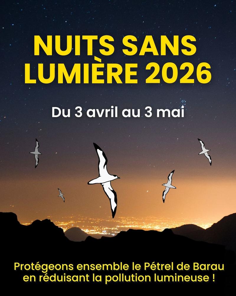 Nuits sans Lumière