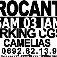 Brocante aux camélias - Saint-Denis