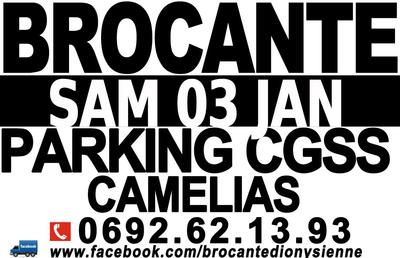Brocante aux camélias - Saint-Denis