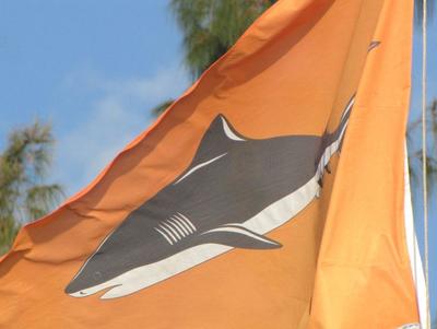 Où se baigner à La Réunion - Risque requin Où se baigner à La Réunion - Risque requin
