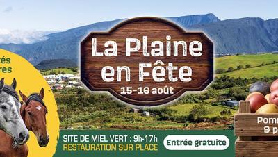 Plaine des Cafres en fête