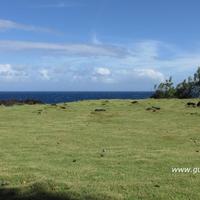 Le Cap Méchant