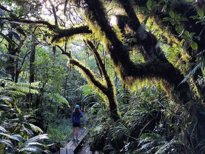 Carlito Rando - La Réunion