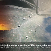 Bonne fête à toutes les mamans - Carte postale Guide Réunion