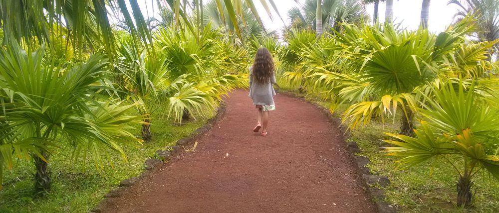 Le parc des palmiers au Tampon