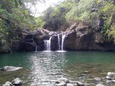 Le bassin le Roche est méconnu, situé dans le quartier de Roches Maigres à aint-Louis, ce bassin est magnifique. 