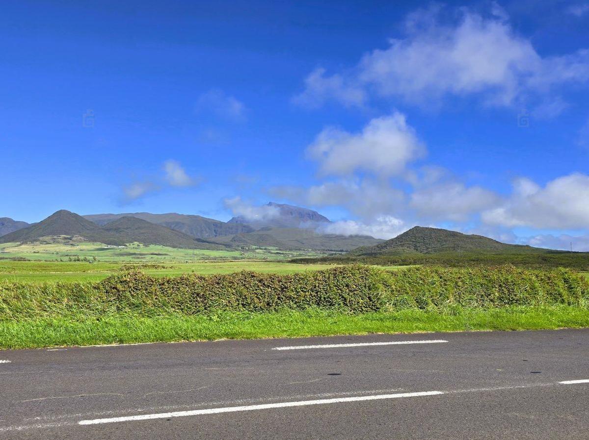 Route des Plaines à La Réunion – forêts de Bébour et Bélouve, belvédère de Bois Court
