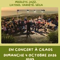 Orchestre Tamarin en concert