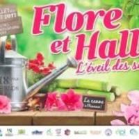 Flore et Halle
