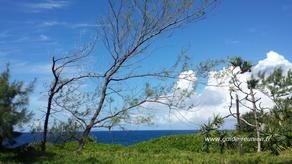 Paysage dans le sud sauvage