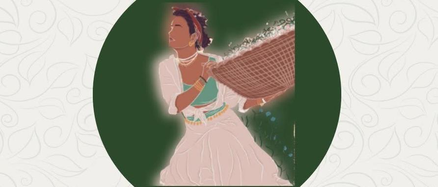 Festivi'Thé à Grand Coude - Saint-Joseph - La Réunion 974