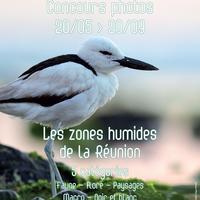 Concours Photo Zones Humides
