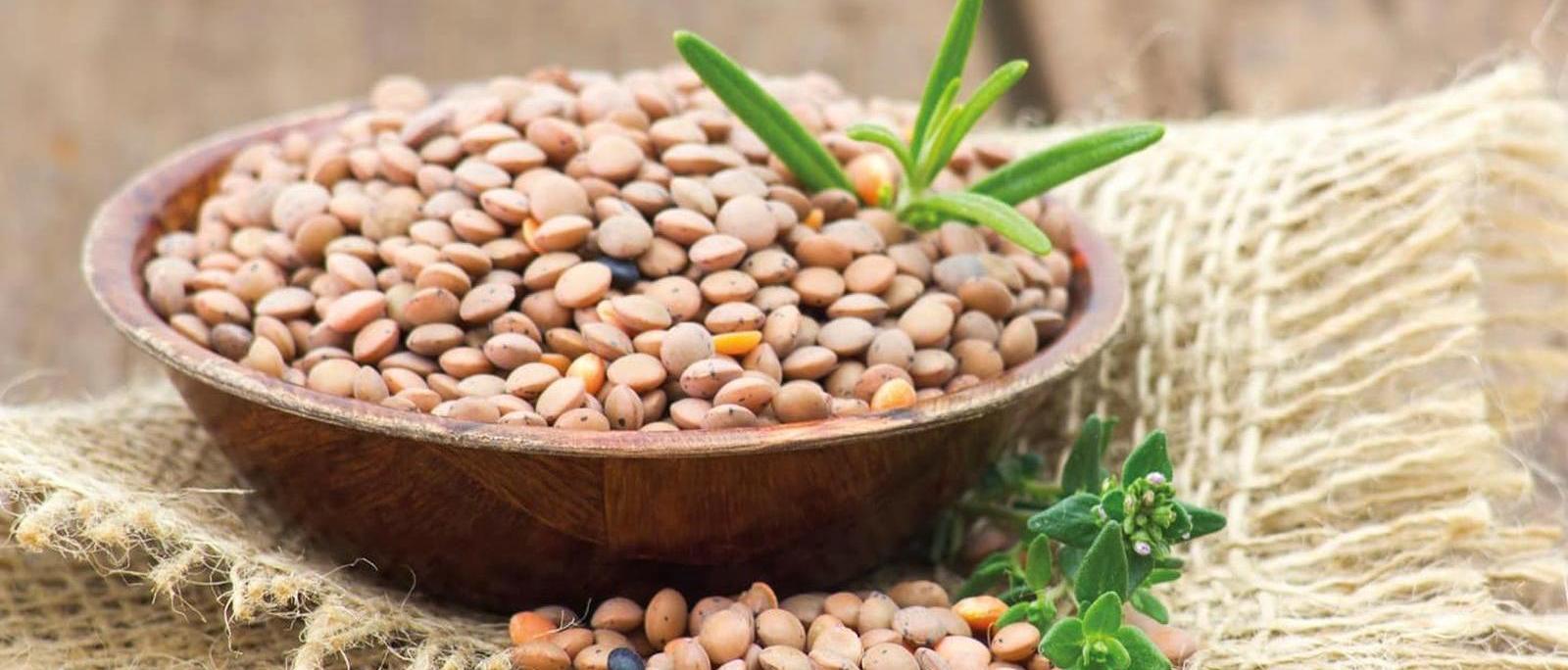 Fête de la lentille - Cilaos - La Réunion (974)