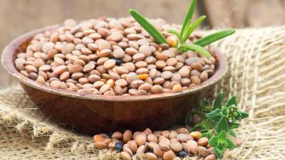 Fête de la lentille à Cilaos - La Réunion Fête de la lentille - Cilaos - La Réunion (974)