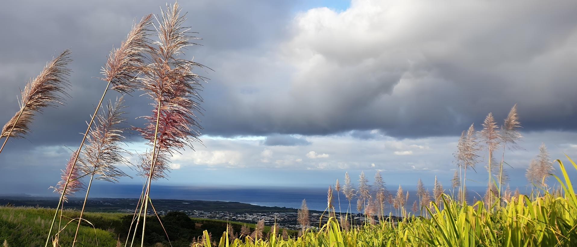 Calendrier La Réunion (974)