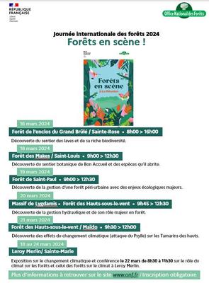 Programme Journée Internationale des Forêts à La Réunion