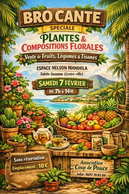 Brocante Sainte-Suzanne - La Réunion (974)