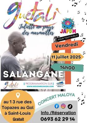 Salangane en concert à La Réunion 