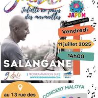 Salangane en concert à La Réunion 