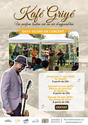 Davy Sicard en Concert