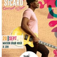 Davy Sicard en Concert