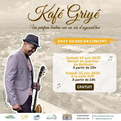 Davy Sicard en Concert