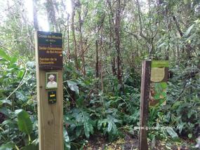 Le sentier d'interprétation de la la forêt de Bon Accueil se situe aux Makes, village de la Réunion.