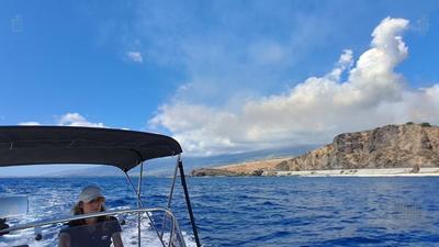 Dodo Boat : sortie en mer et location de bateau au Port - La Réunion