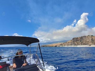 Dodo Boat : sortie en mer et location de bateau au Port - La Réunion