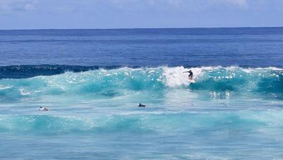 Surf à La Réunion