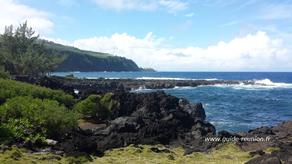 Retour à la marine de Vincendo