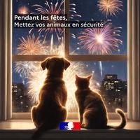 Feux d'artifices et animaux domestiques (chiens et chats)