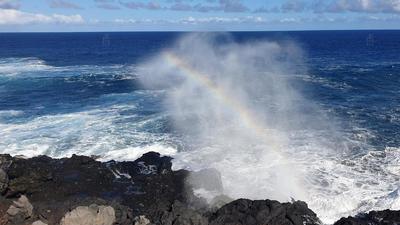 Souffleur à Saint-Leu / La Réunion