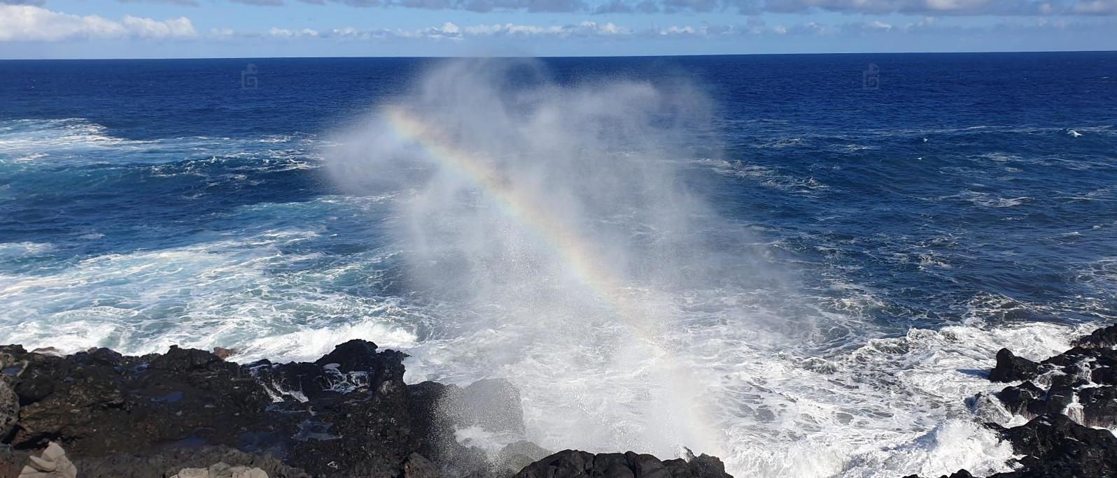 Souffleur à Saint-Leu / La Réunion