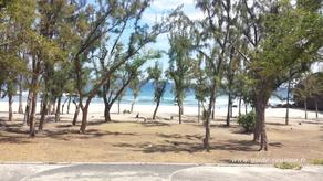 Boucan Canot (vers le Cap Homard)