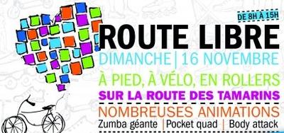 route des Tamarins