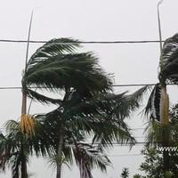 Vigilance météo Réunion - Vents Forts