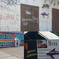 Requins sur les murs de la ligne paradis (tags)