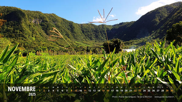 Calendrier Novembre 2025 - Île de la Réunion