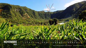 Calendrier Novembre 2025 - Île de la Réunion
