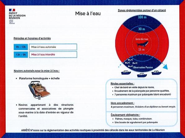 Infographie - Mise à l'eau et observation des baleines à La Réunion (974)