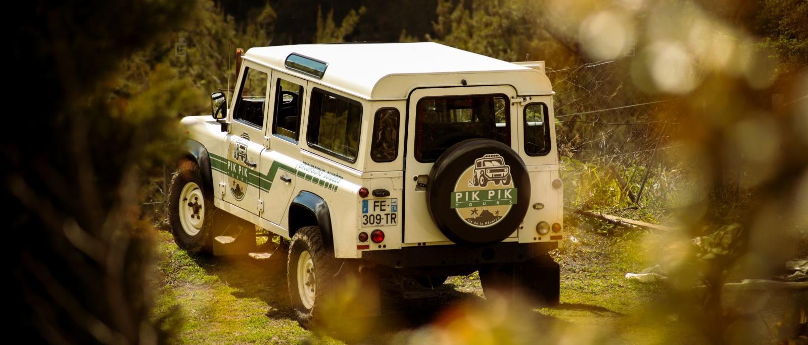 Pikpik Tours - Excursions 4x4 à La Réunion
