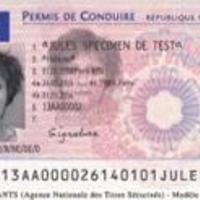 Le nouveau permis (Illustration)