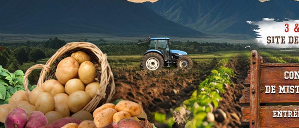 Fête de la pomme de Terre